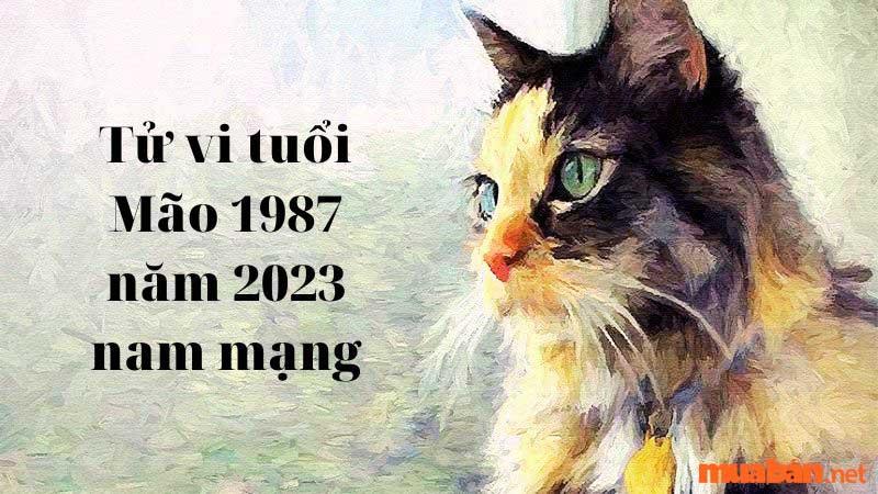 1. Sao chiếu mệnh năm 2023 của Nam 1987