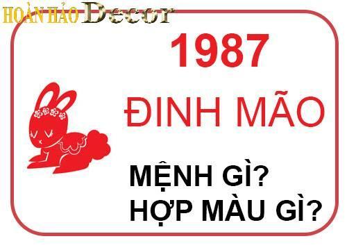 Sinh Năm 1987 Bao Nhiêu Tuổi? Nam Nữ Sinh Năm 1987 Hợp Với Ai ?