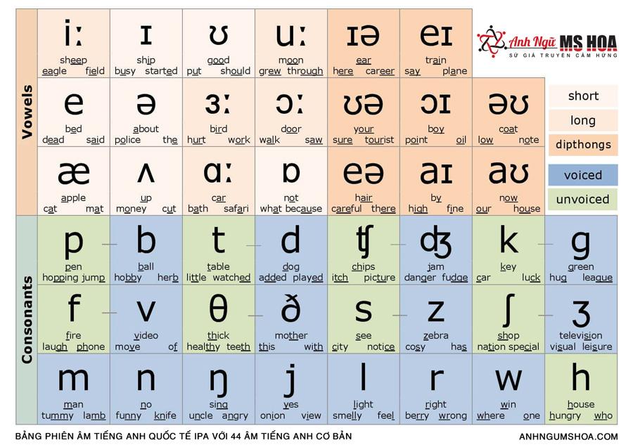 Bảng Phiên Âm Tiếng Anh IPA | Cách phát âm cực chuẩn