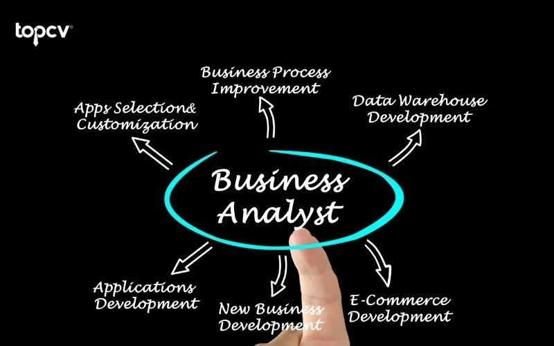 Business Analyst cần học gì và mức lương bao nhiêu?