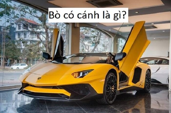 Xe con bò có cánh là tiếng lóng chỉ xe Lamborghini.