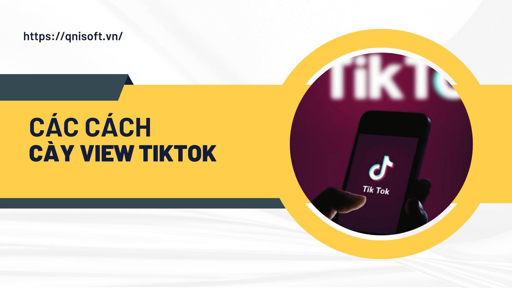 Các cách cày view Tiktok