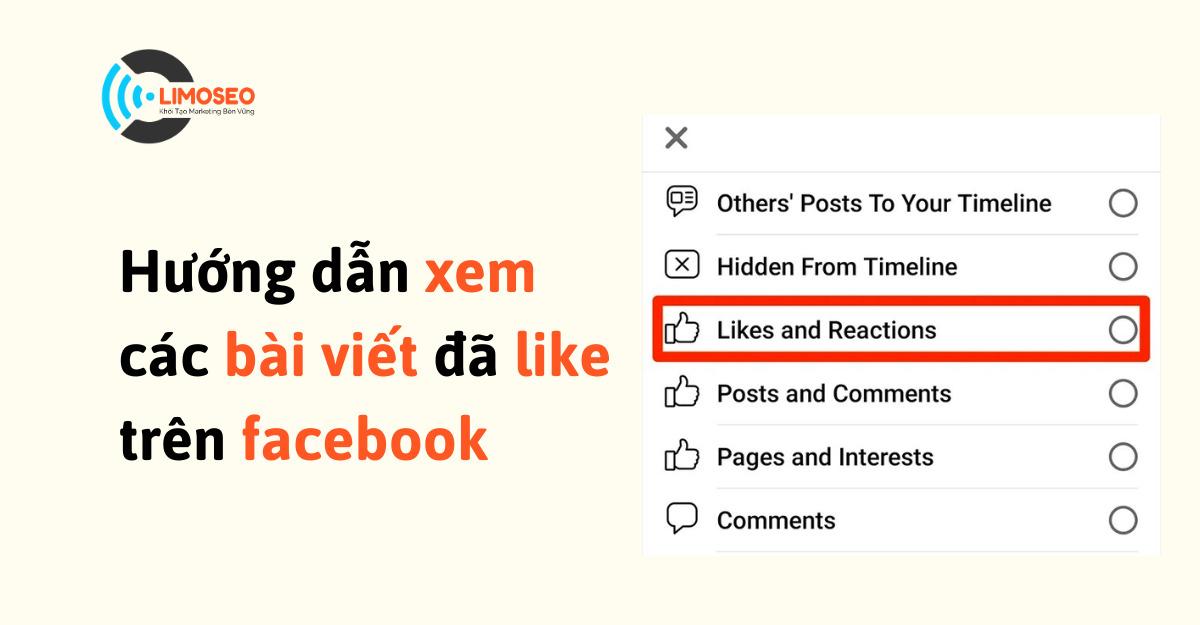 Hướng dẫn xem các bài viết đã like trên facebook – Limoseo