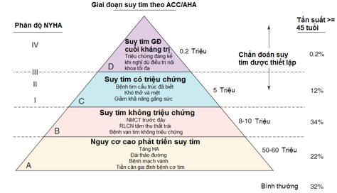 Cập nhật khuyến cáo 2016 về chẩn đoán và xử trí suy tim – P2