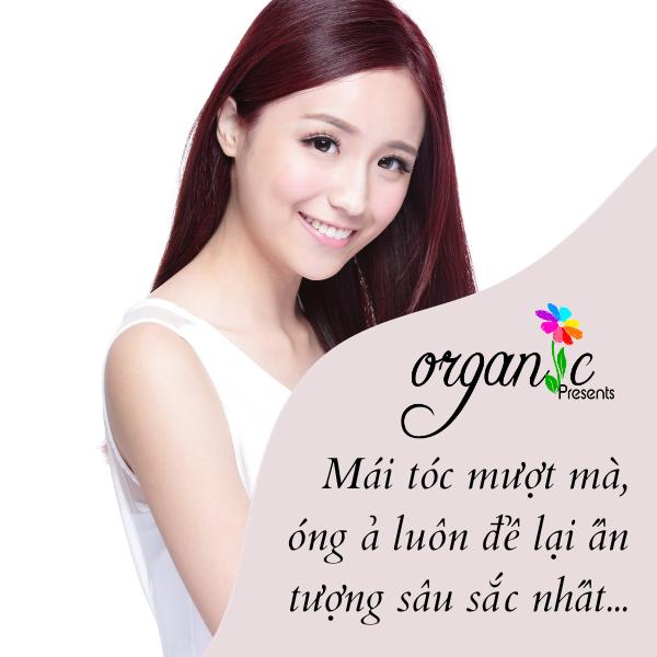 DẦU GỘI THẢO MỘC ORGANIC PREMIUM