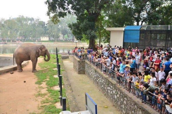 Công viên Thủ Lệ địa điểm vui chơi ở Hà Nội