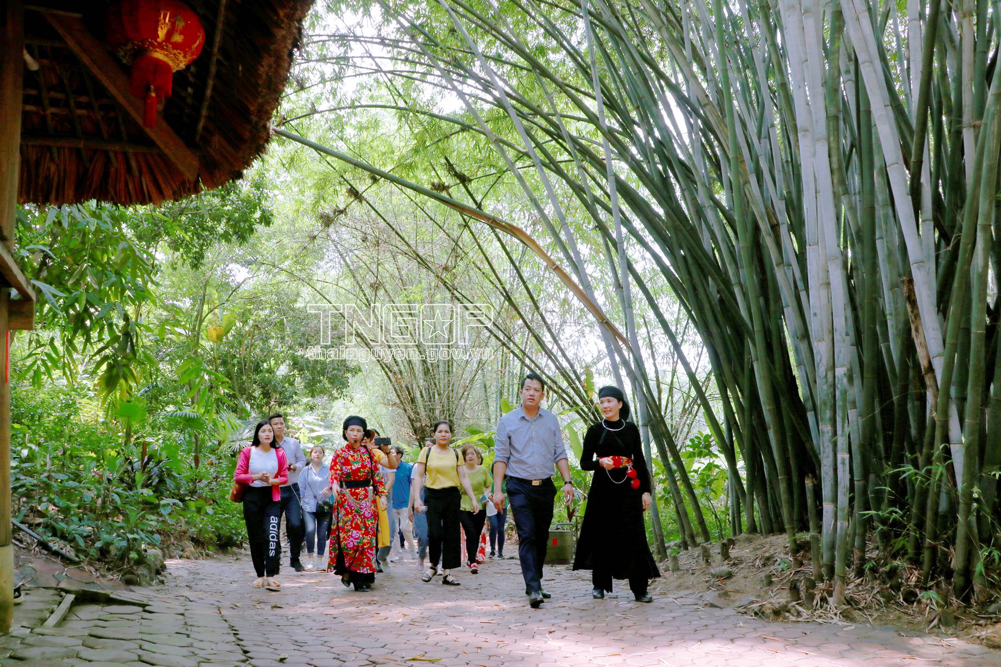 TRANG THÔNG TIN ĐIỆN TỬ