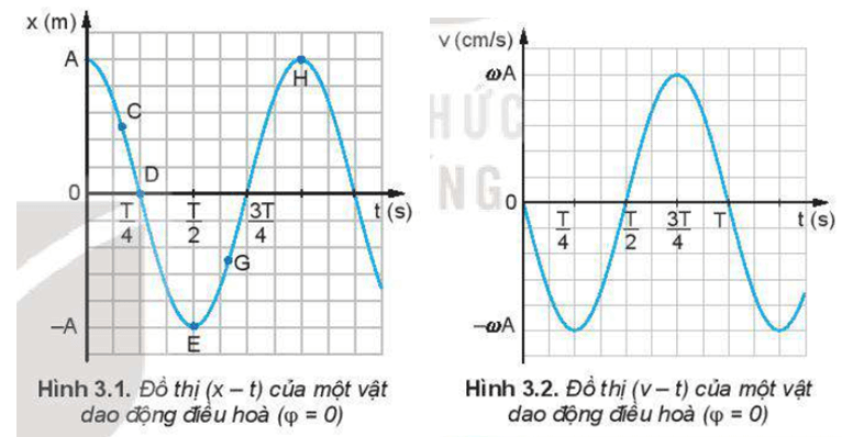 Giải SGK Vật lí 11 Bài 3 (Kết nối tri thức): Vận tốc, gia tốc trong dao động điều hoà