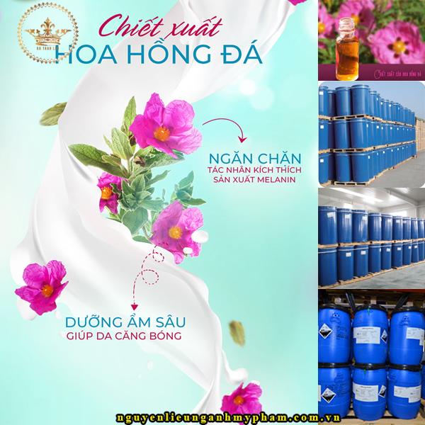 Chiết xuất hoa hồng đá: NGUYÊN LIỆU MỸ PHẨM, CHIẾT XUẤT THIÊN NHIÊN SỐ LƯỢNG TÙY CHỈNH