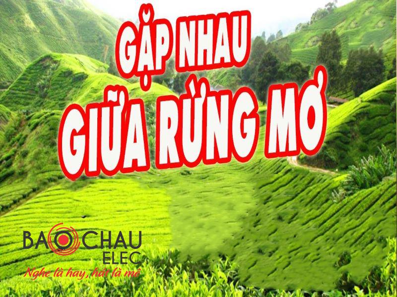 Lời bài hát Gặp Nhau Gữa Rừng Mơ - Anh Thơ. Bản Chuẩn