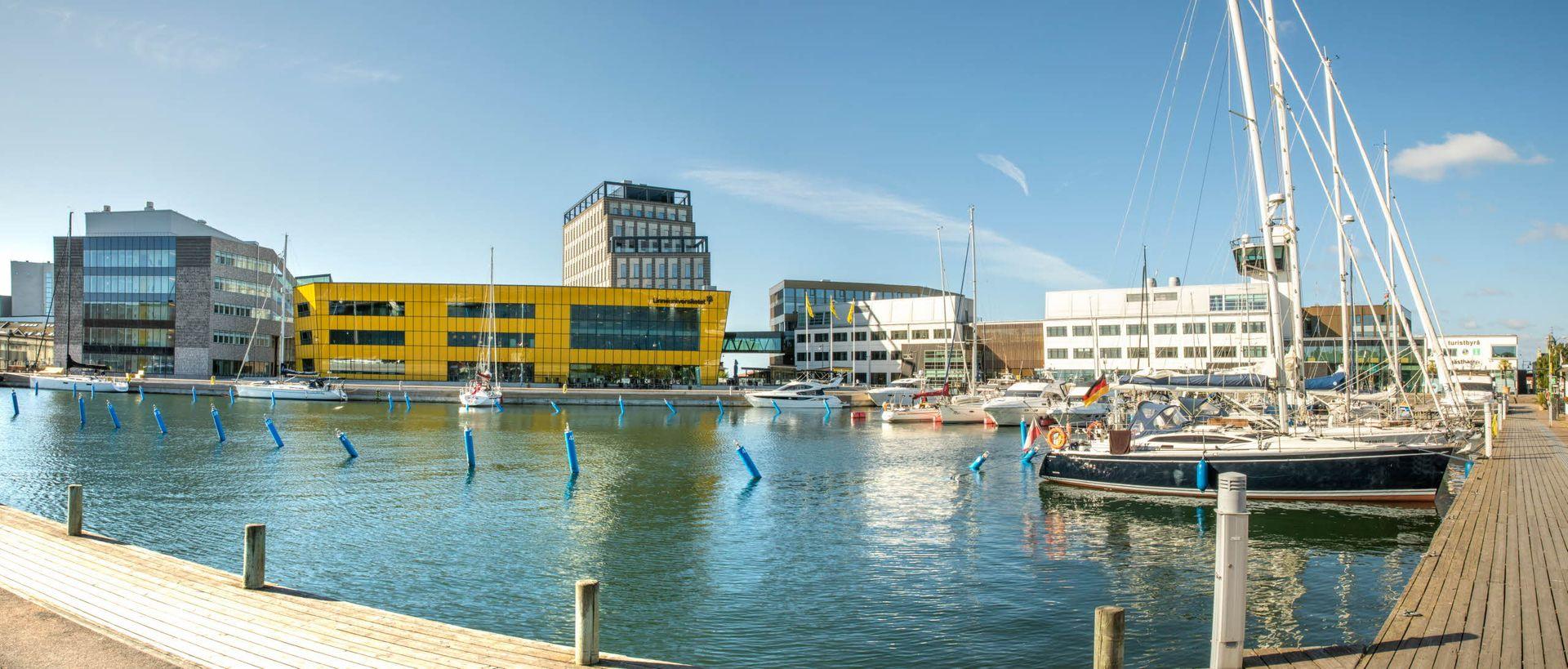 The university building behind water