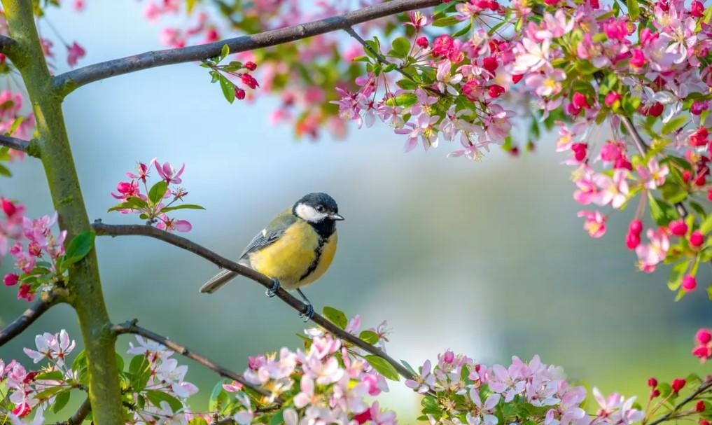 mùa xuân là từ tháng mấy