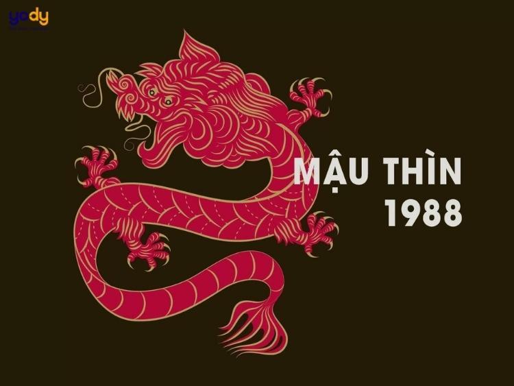 1988 hợp màu gì