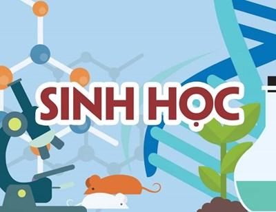 Các môn học thuộc khối B03 - Khối b03 gồm những ngành nào