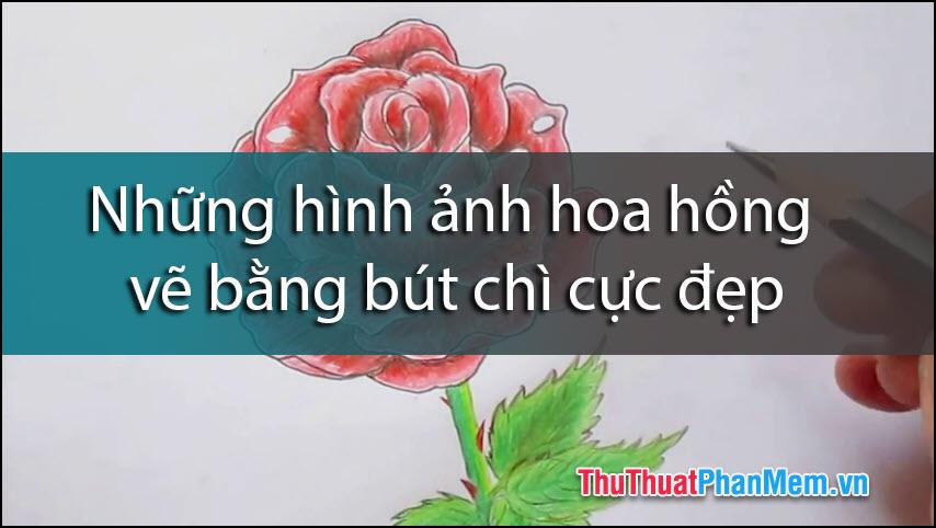 Nghệ thuật vẽ hoa hồng bằng bút chì - Nét đẹp tinh tế của nghệ sĩ