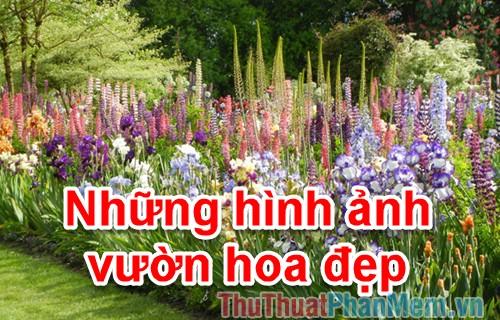 Kho ảnh vườn hoa đẹp nhất