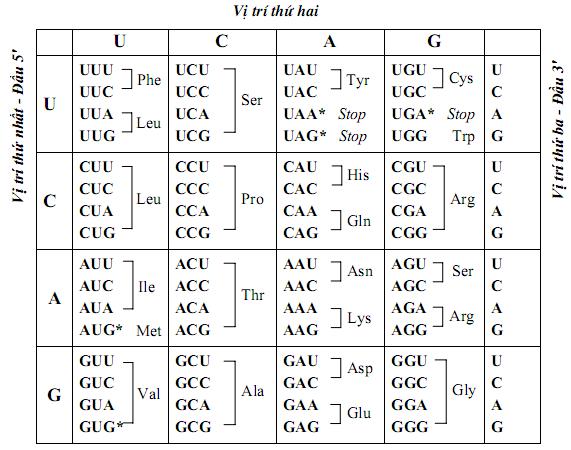 Giải Sinh Học 12 Bài 15: Bài tập chương 1 và chương 2