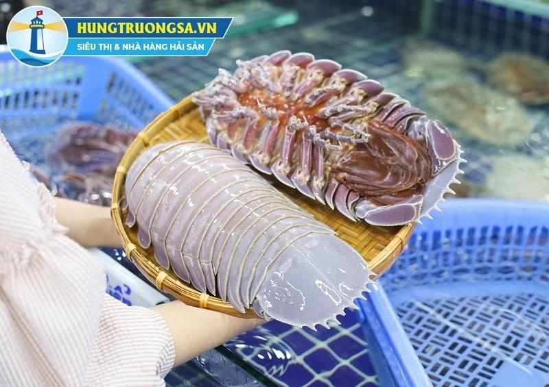 bọ biển size 500 - 900g