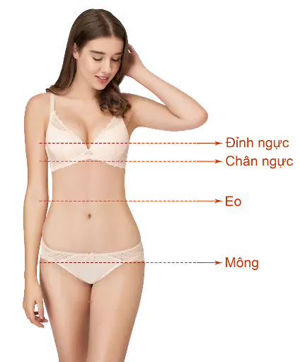 Fitting Guide
