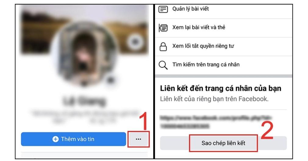 Cách liên kết TikTok với Facebook: Thêm trực tiếp ở tiểu sử