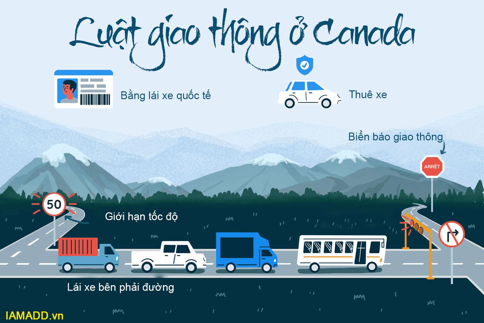 Luật giao thông ở Canada mới nhất 2020 cho xe ô tô