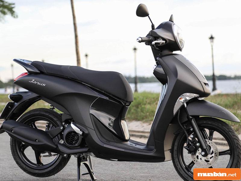 Yamaha Janus 2020 05