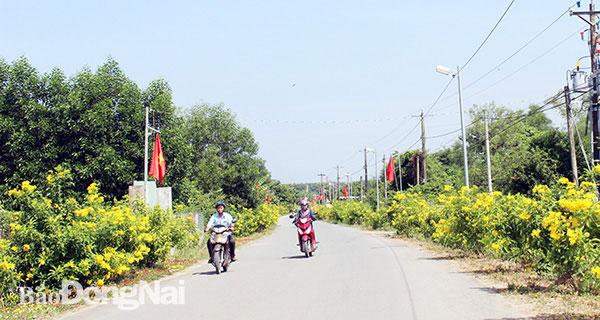 Bảo vệ môi trường xanh sạch đẹp Những cách đơn giản để bảo vệ hành tinh của chúng ta