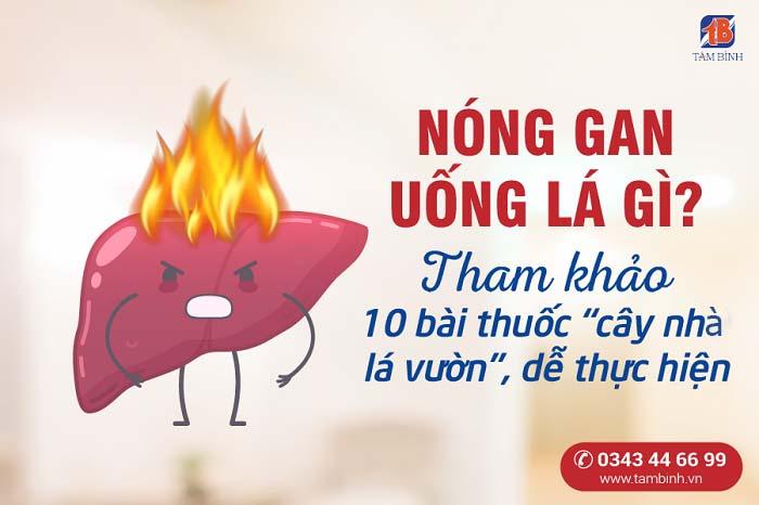 Nóng gan uống lá gì? Tham khảo 10 bài thuốc “cây nhà lá vườn”