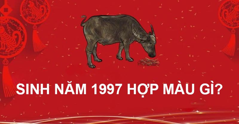 Sinh năm 1997 hợp màu gì? Gợi ý màu sắc điện thoại phù hợp, mang lại may mắn