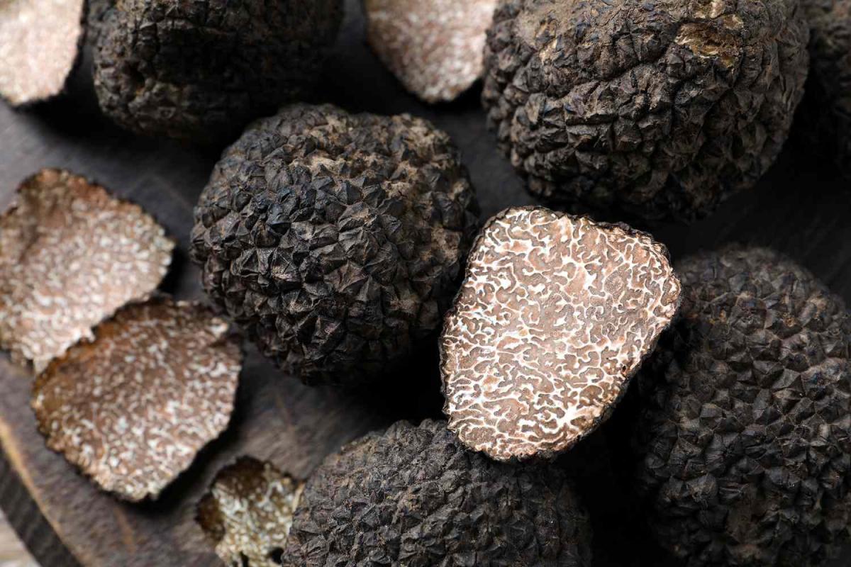 Tìm hiểu về nấm truffle – Nguyên liệu thượng hạng đắt nhất thế giới