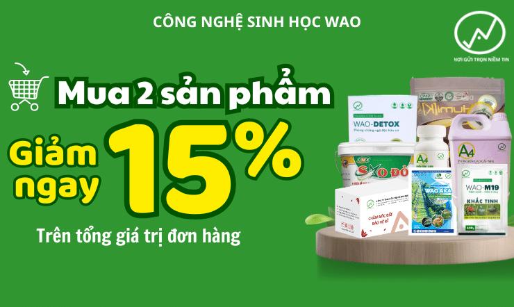 Quy trình tự sản xuất hạt giống