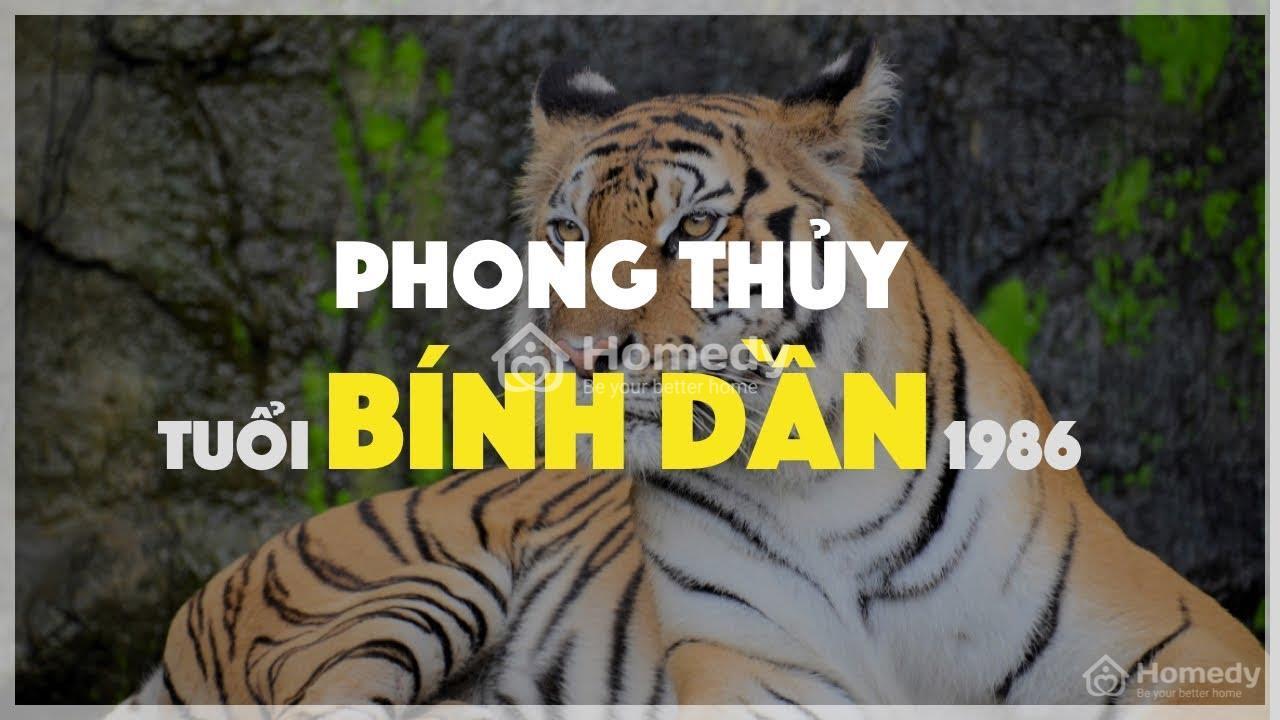 Tuổi Dần 1986 hợp hướng nào? Mua nhà hướng nào hợp phong thủy?