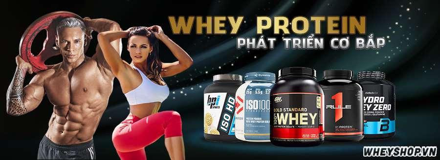 Sữa tăng cơ Whey Protein (đạm váng sữa)