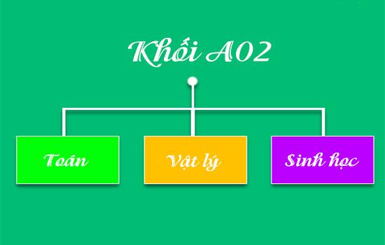 Khối A2 (A02) gồm những môn nào? Gồm các ngành nghề gì?