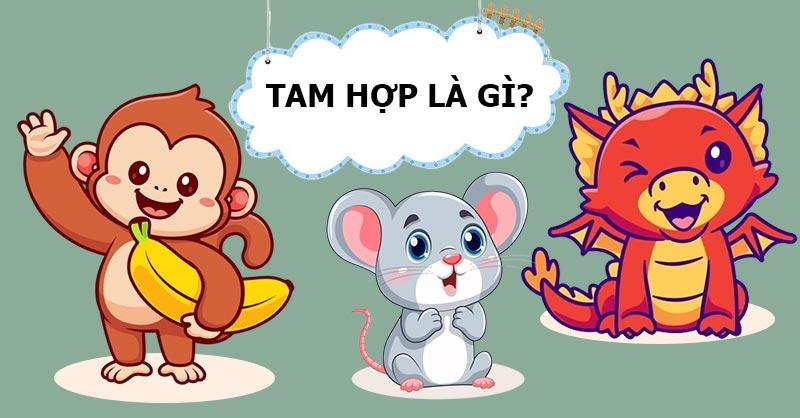 Tam hợp là gì? Hiểu đúng về Tam hợp và Tứ hành xung trong phong thủy