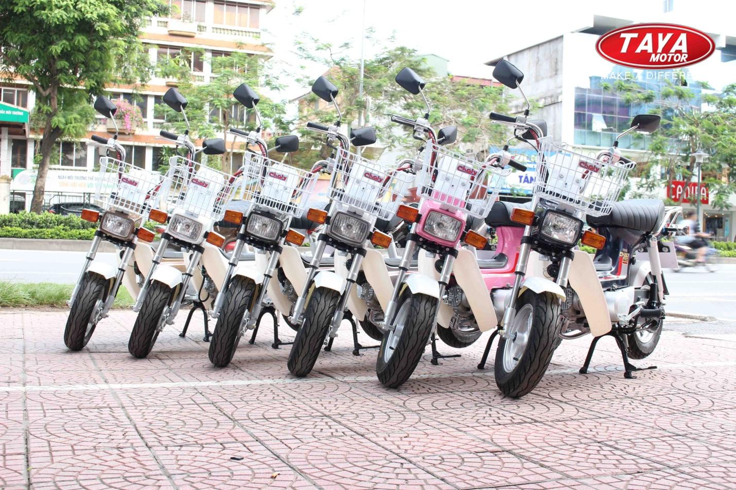 Xe máy 50cc Chaly Taya (màu trắng)