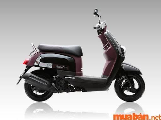 Mua Bán Xe Máy Yamaha Cuxi Cũ Bình Dương Giá Rẻ, Uy Tín T7/2024