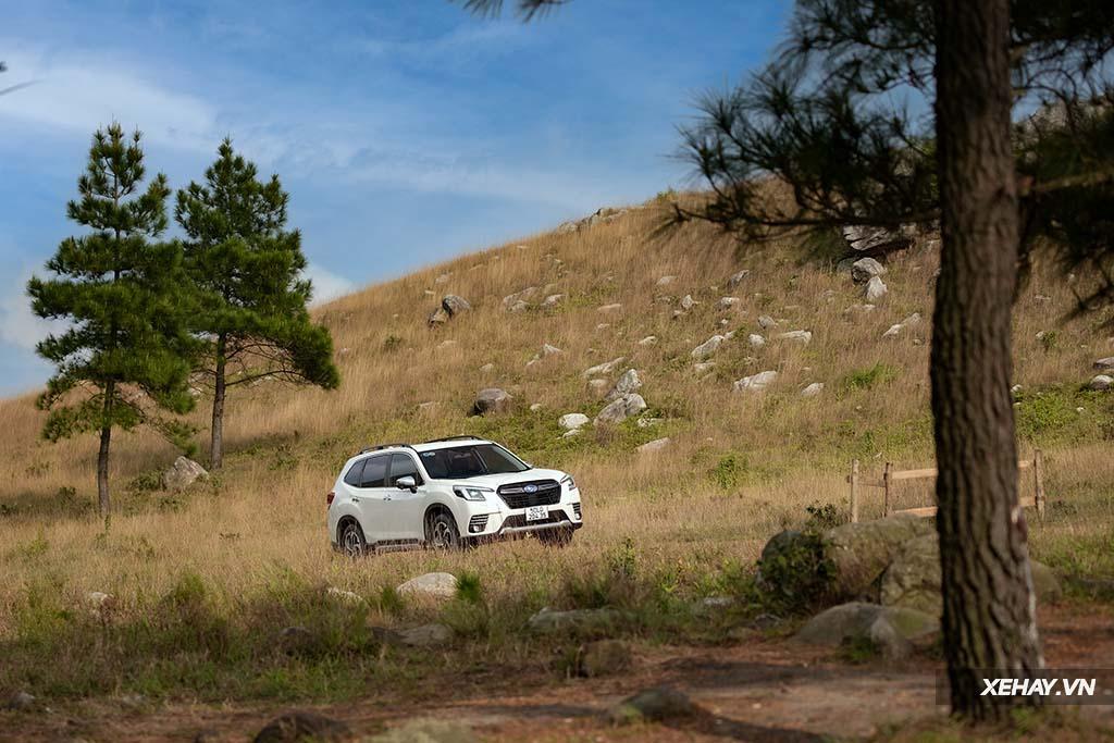 [ĐÁNH GIÁ XE] Subaru Forester 2023: “Món ngon cho kẻ sành ăn”