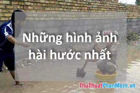 Ảnh hài - Cười không ngớt