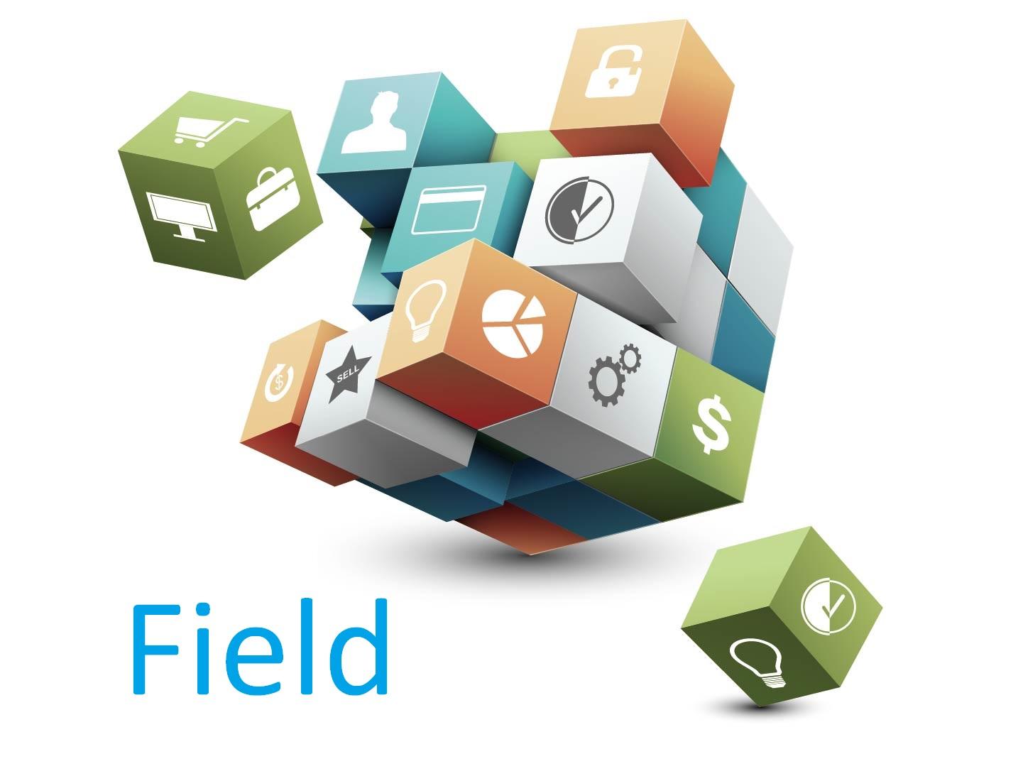 Lĩnh vực trong tiếng Anh nghĩa là gì?