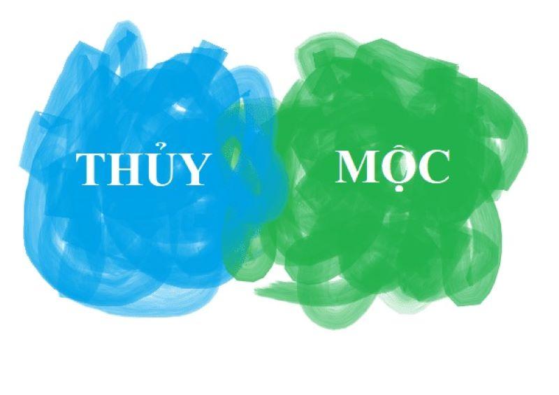 Theo quan niệm ngũ hành mệnh Mộc và mệnh Thủy có hợp nhau không?