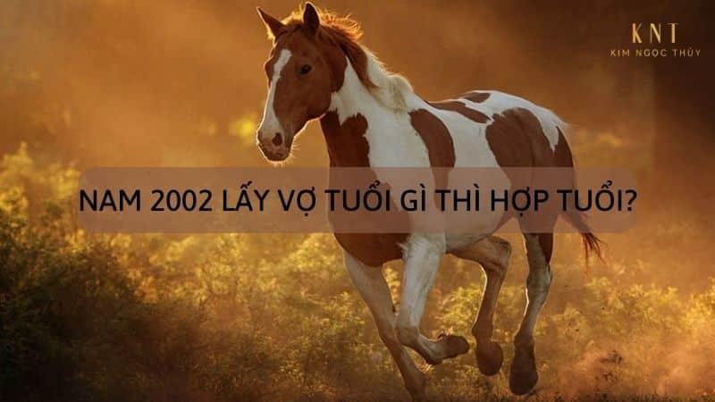 NAM 2002 LẤY VỢ TUỔI GÌ THÌ HỢP TUỔI?