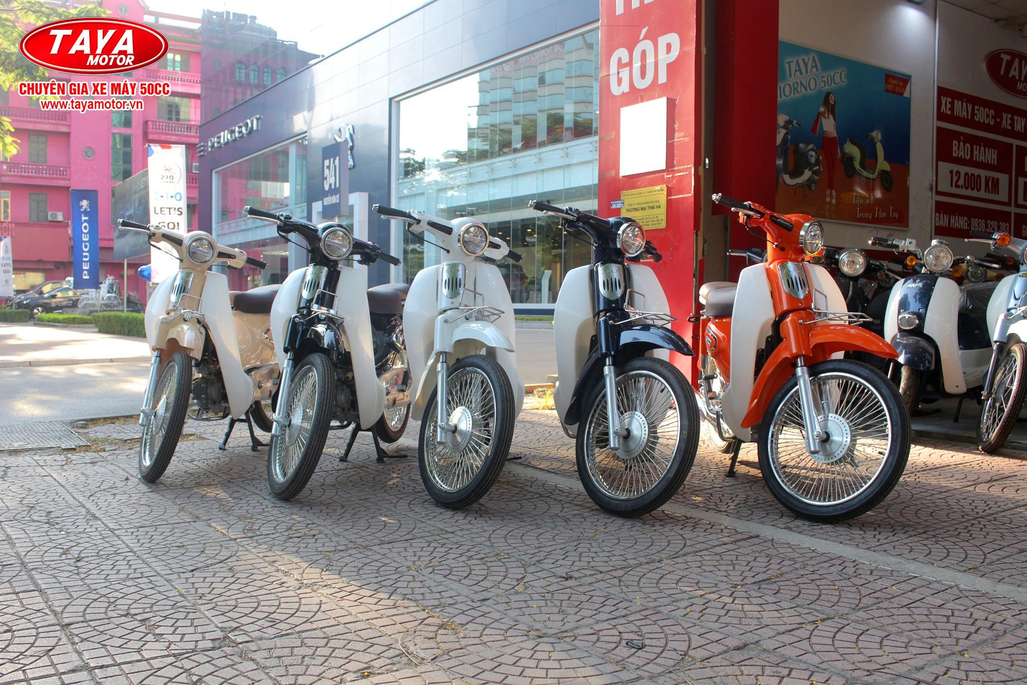 Cub 81 Taya XS 2024 (đỏ đun)