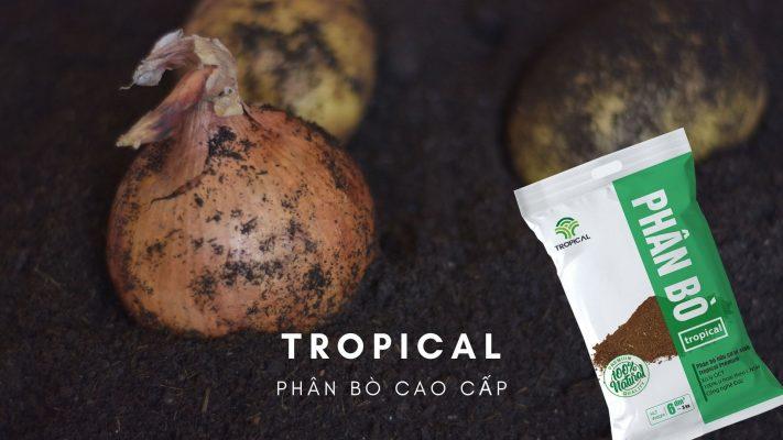 Giới thiệu phân bò Tropical Premium 2