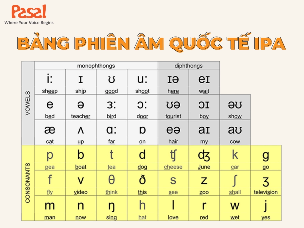 [Clip] Cách đọc bảng phiên âm IPA tiếng Anh chuẩn Anh – Mỹ