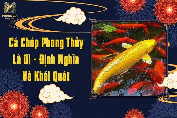 Nuôi Cá Chép Theo Phong Thủy Mang Lại Tài Lộc Công Danh