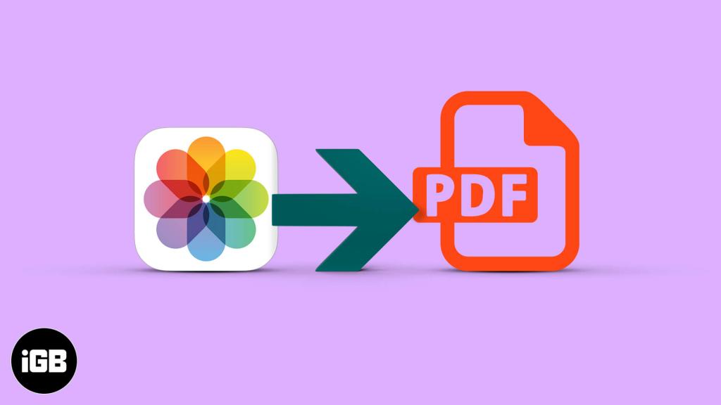 Hướng dẫn cách chuyển ảnh sang PDF trên iPhone (2023) - 126.vn