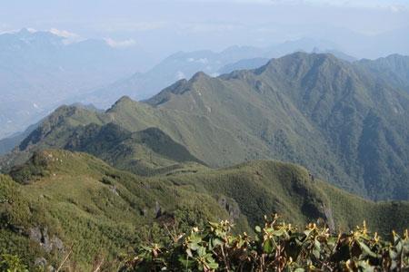 Đỉnh núi Phan Xi Păng