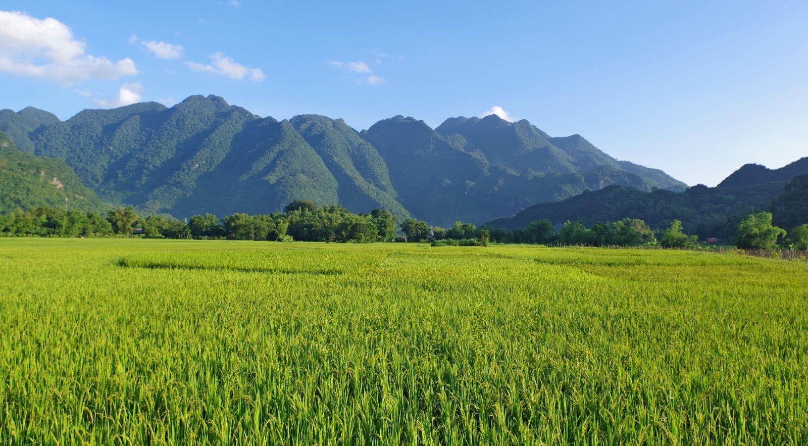 Bản Lác Mai Châu Hòa Bình có gì thú vị, thu hút khách du lịch?