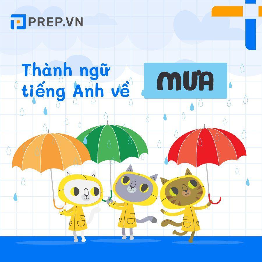 Tổng hợp thành ngữ tiếng Anh về mưa thông dụng nhất bạn nên biết!